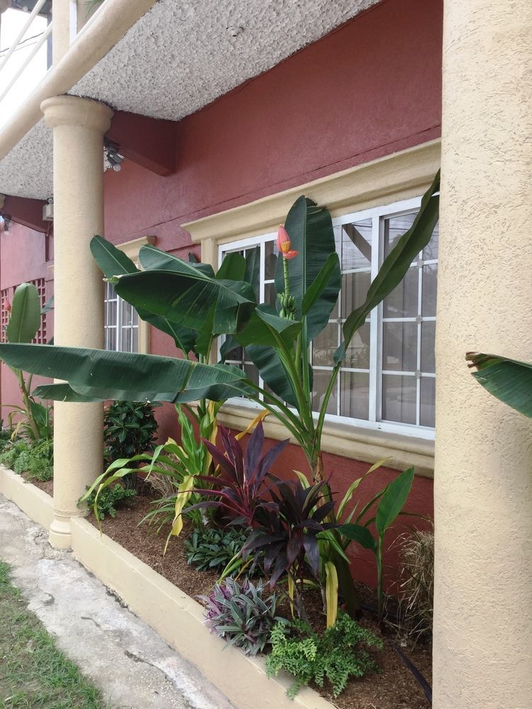 Inn Flight Suites Piarco Dış mekan fotoğraf